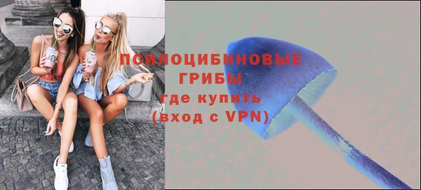 PSILOCYBIN Киров