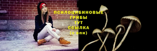 ALPHA PVP Покачи