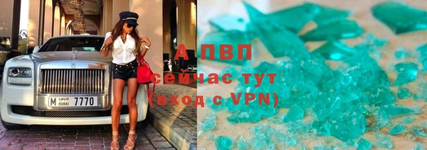 индика Пересвет